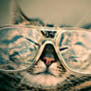 Meet your Posher, Chev